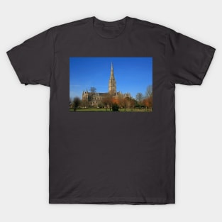 Down in the City of Salisbury T-Shirt